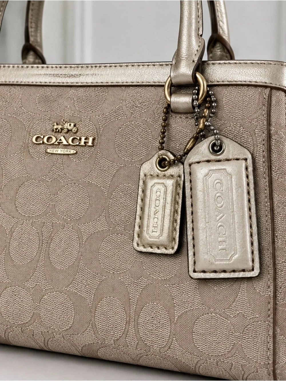 Coach pair leather
